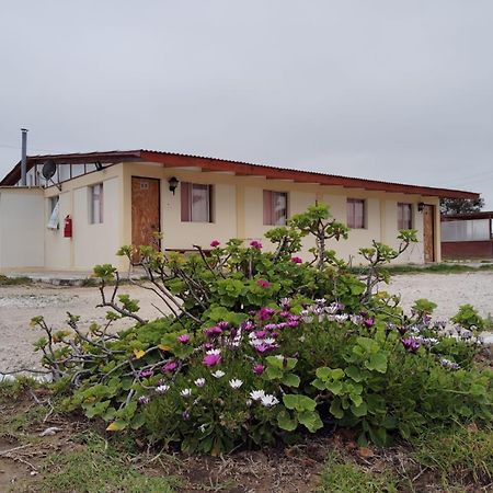 Aparthotel Santa Maria Пунта де Чорос Стая снимка