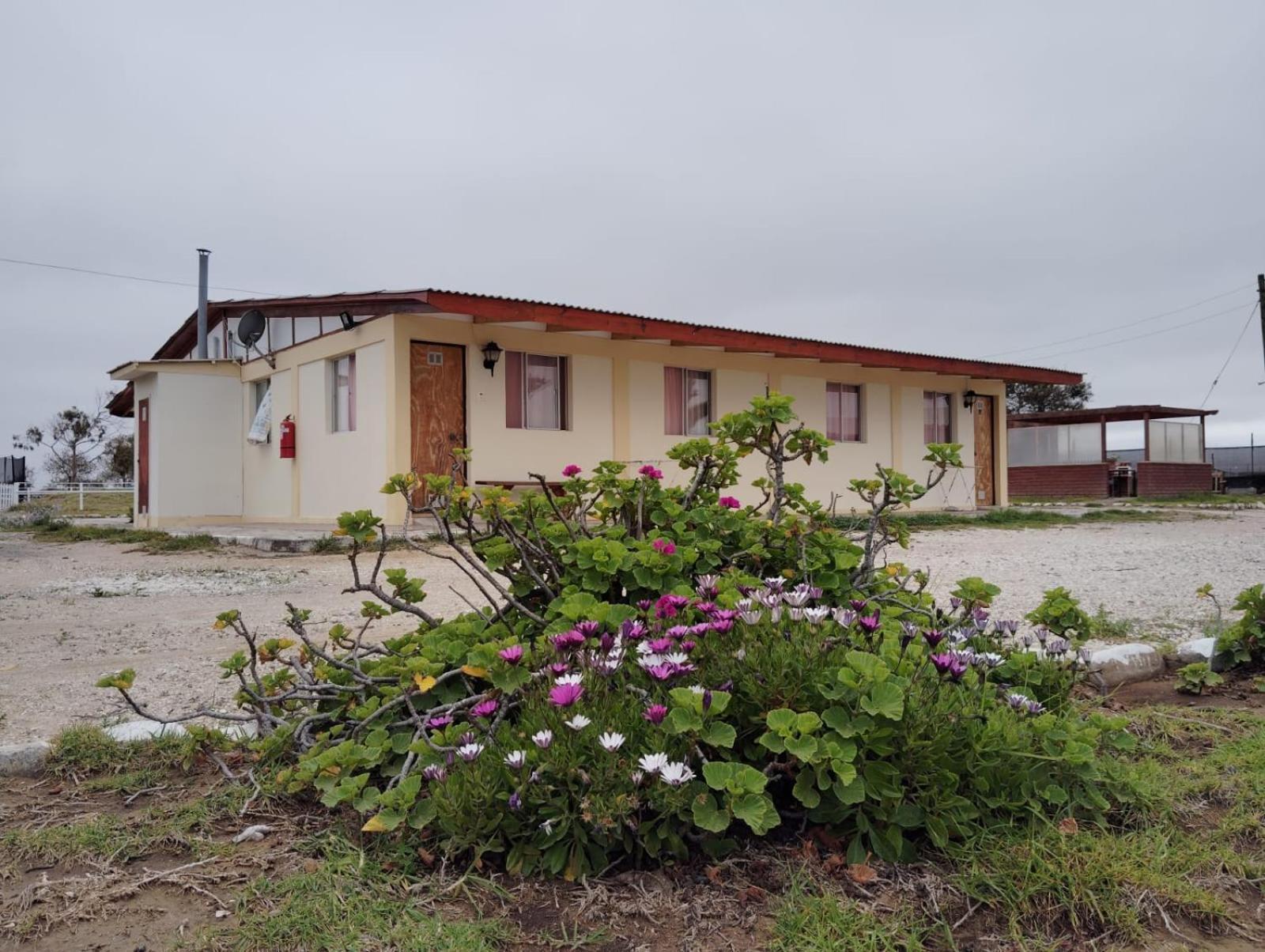 Aparthotel Santa Maria Пунта де Чорос Стая снимка